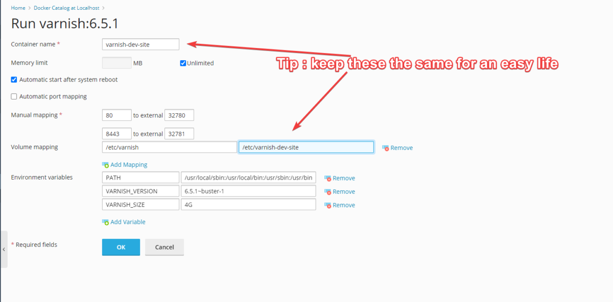 Configure Varnish for Magento 2 on Plesk DX3 s